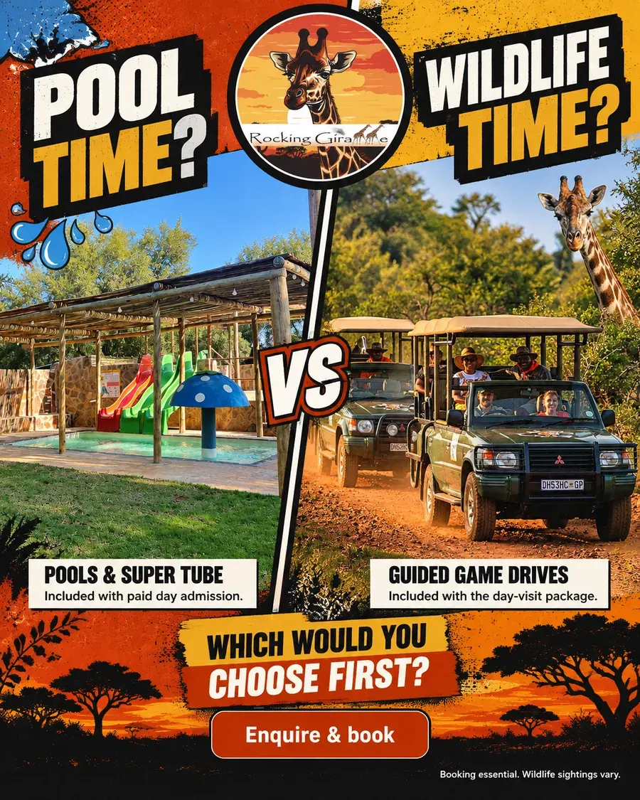 This or that by Moteef for Rocking Giraffe Bush Lodge